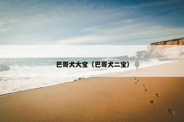 巴哥犬大宝（巴哥犬二宝）