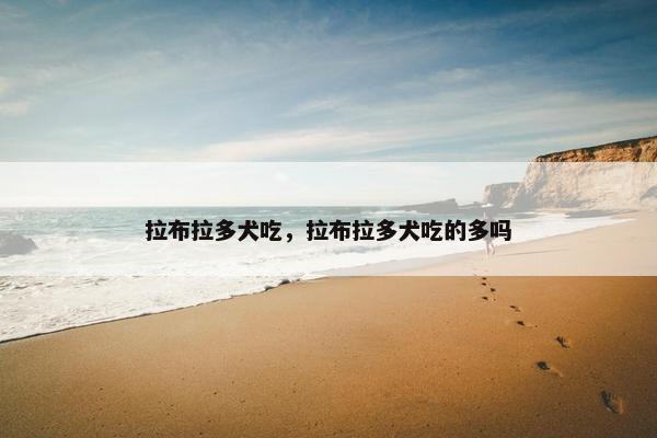 拉布拉多犬吃，拉布拉多犬吃的多吗