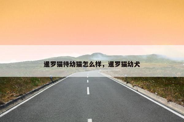 暹罗猫待幼猫怎么样，暹罗猫幼犬