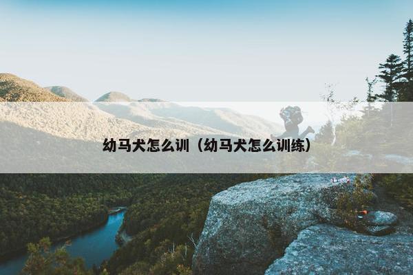 幼马犬怎么训（幼马犬怎么训练）