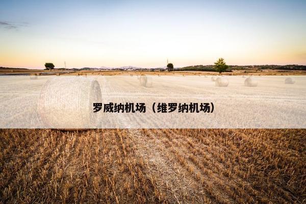 罗威纳机场（维罗纳机场）