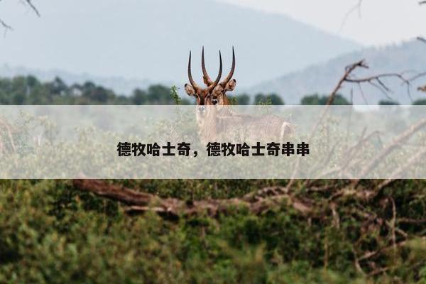 德牧哈士奇，德牧哈士奇串串