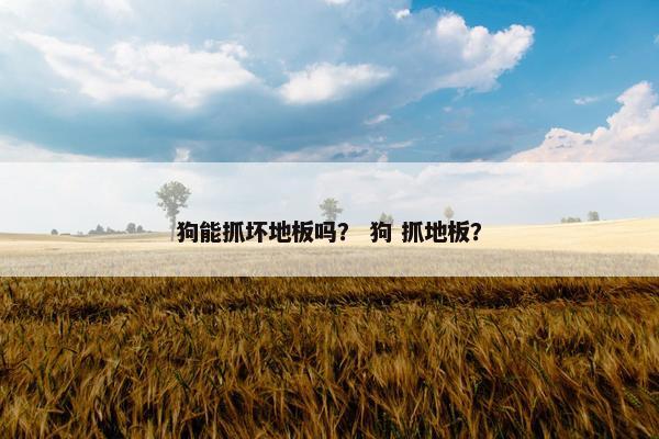 狗能抓坏地板吗？ 狗 抓地板？