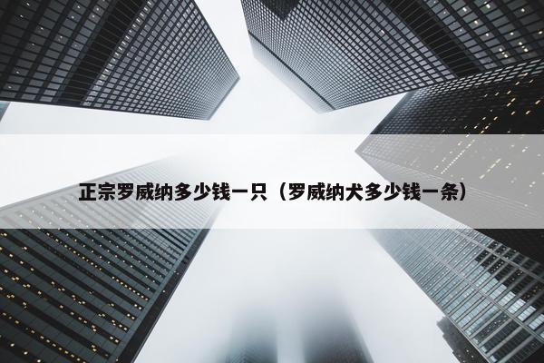 正宗罗威纳多少钱一只（罗威纳犬多少钱一条）