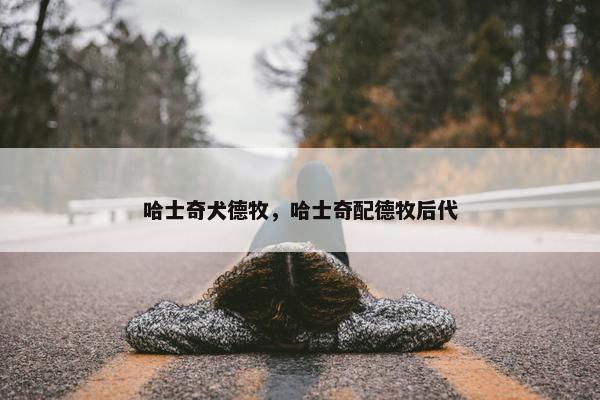 哈士奇犬德牧，哈士奇配德牧后代