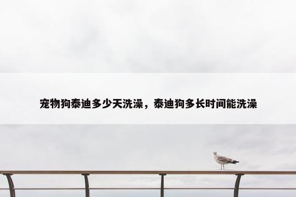 宠物狗泰迪多少天洗澡，泰迪狗多长时间能洗澡