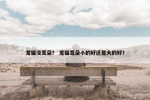 龙猫没耳朵？ 龙猫耳朵小的好还是大的好？