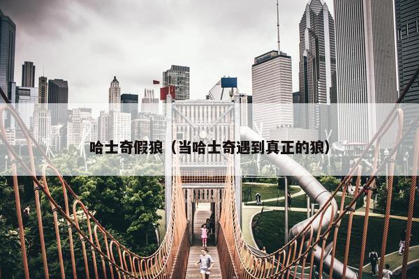 哈士奇假狼（当哈士奇遇到真正的狼）