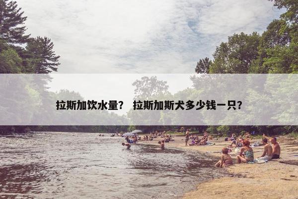 拉斯加饮水量？ 拉斯加斯犬多少钱一只？
