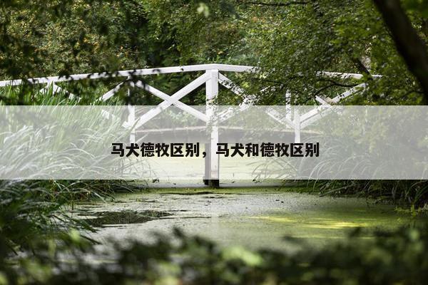 马犬德牧区别，马犬和德牧区别