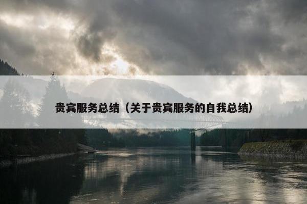 贵宾服务总结（关于贵宾服务的自我总结）