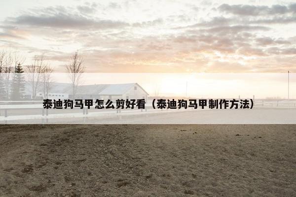 泰迪狗马甲怎么剪好看（泰迪狗马甲制作方法）