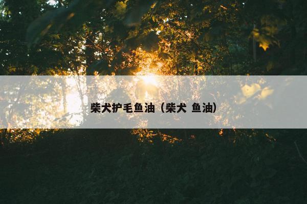 柴犬护毛鱼油（柴犬 鱼油）