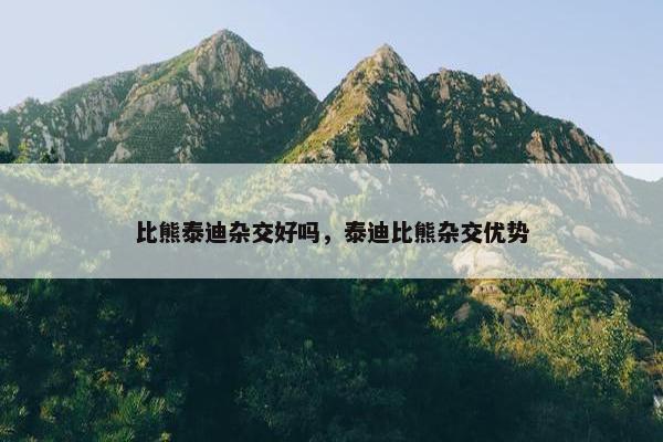 比熊泰迪杂交好吗，泰迪比熊杂交优势