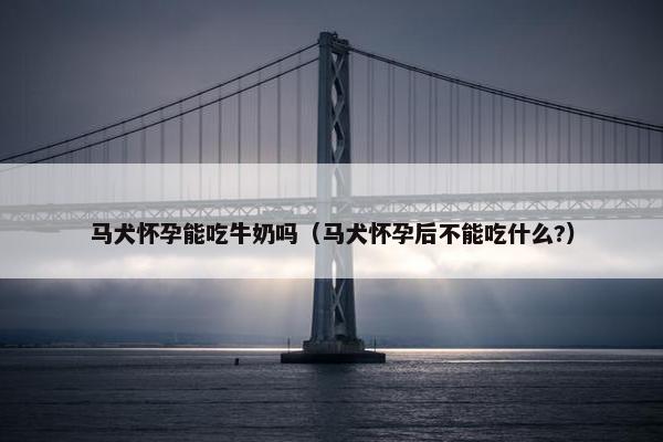 马犬怀孕能吃牛奶吗（马犬怀孕后不能吃什么?）
