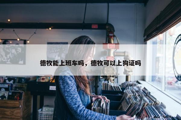 德牧能上班车吗，德牧可以上狗证吗