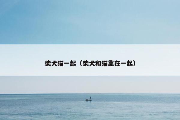 柴犬猫一起（柴犬和猫靠在一起）