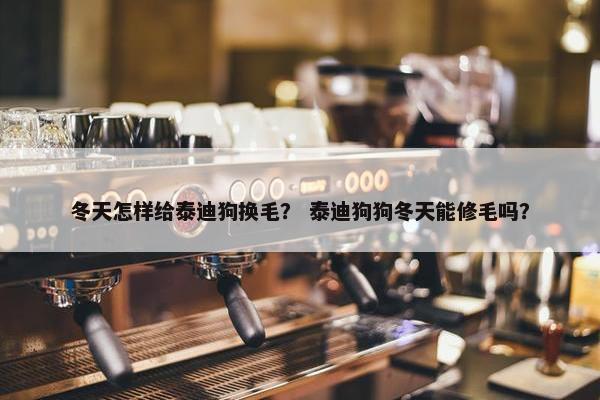 冬天怎样给泰迪狗换毛？ 泰迪狗狗冬天能修毛吗？