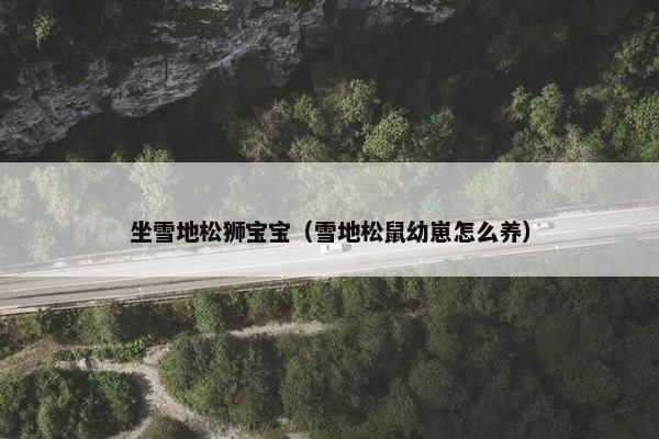 坐雪地松狮宝宝（雪地松鼠幼崽怎么养）