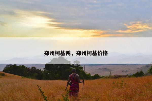 郑州柯基鸭，郑州柯基价格