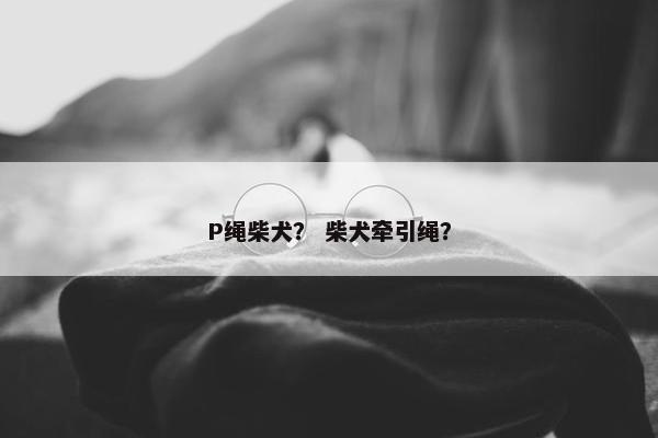 P绳柴犬？ 柴犬牵引绳？