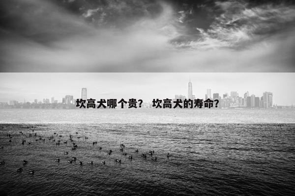 坎高犬哪个贵？ 坎高犬的寿命？