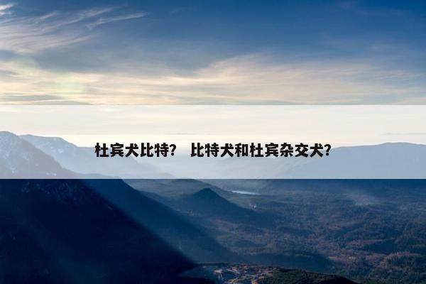 杜宾犬比特? 比特犬和杜宾杂交犬? 杜宾犬比特? 比特犬和杜宾杂交犬?