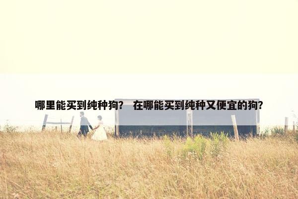 哪里能买到纯种狗？ 在哪能买到纯种又便宜的狗？