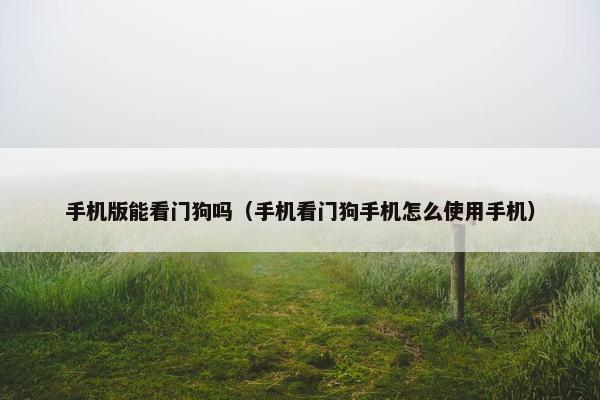 手机版能看门狗吗（手机看门狗手机怎么使用手机）