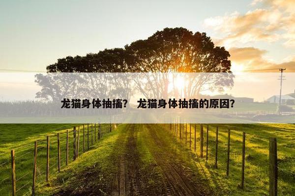 龙猫身体抽搐？ 龙猫身体抽搐的原因？