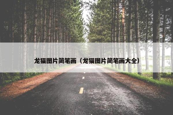 龙猫图片简笔画（龙猫图片简笔画大全）