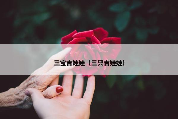 三宝吉娃娃（三只吉娃娃）