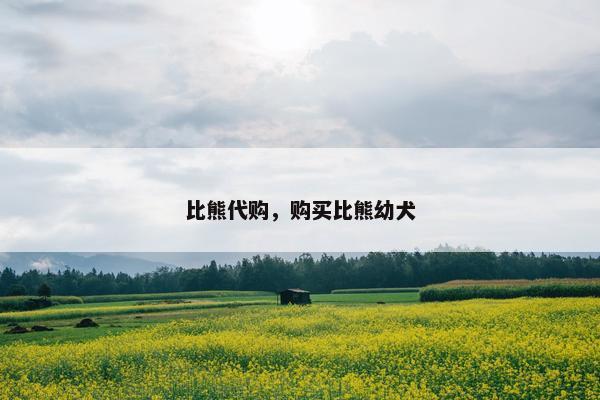 比熊代购，购买比熊幼犬