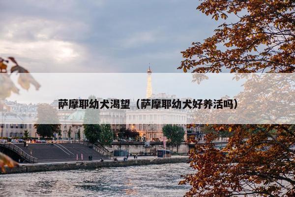 萨摩耶幼犬渴望（萨摩耶幼犬好养活吗）