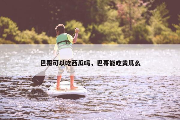 巴哥可以吃西瓜吗，巴哥能吃黄瓜么