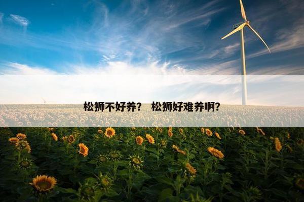 松狮不好养？ 松狮好难养啊？