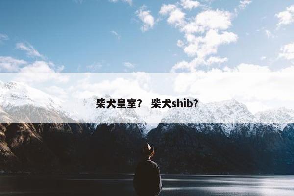柴犬皇室？ 柴犬shib？