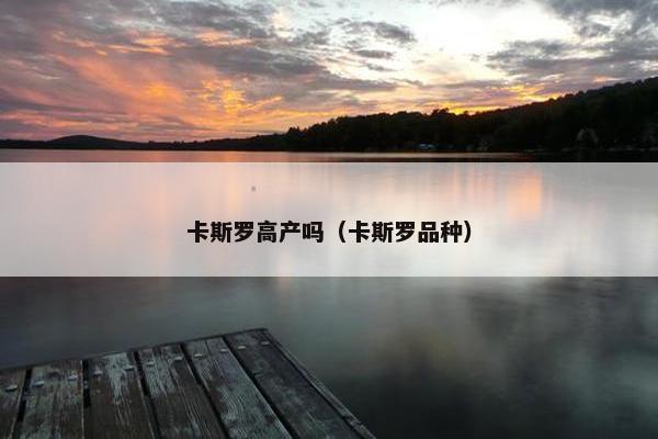 卡斯罗高产吗（卡斯罗品种）