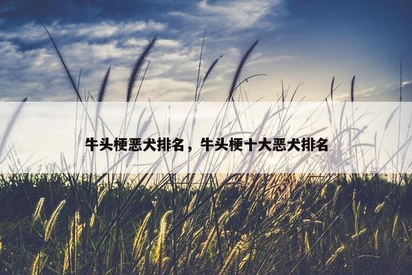 牛头梗恶犬排名，牛头梗十大恶犬排名