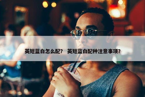 英短蓝白怎么配？ 英短蓝白配种注意事项？