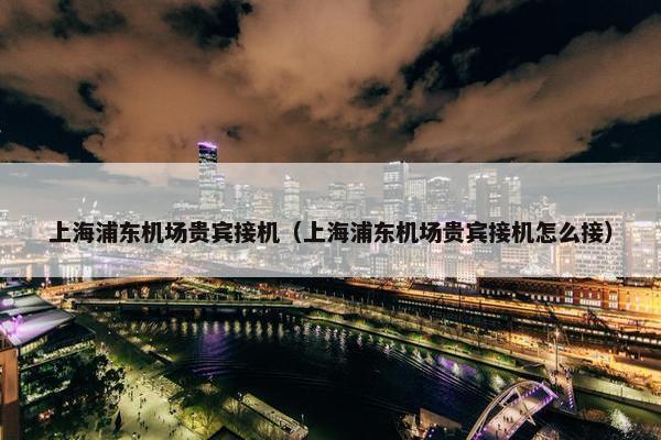 上海浦东机场贵宾接机（上海浦东机场贵宾接机怎么接）