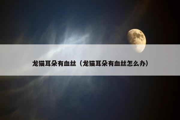 龙猫耳朵有血丝（龙猫耳朵有血丝怎么办）