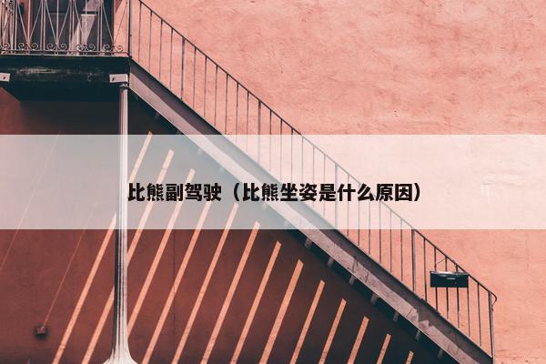 比熊副驾驶（比熊坐姿是什么原因）