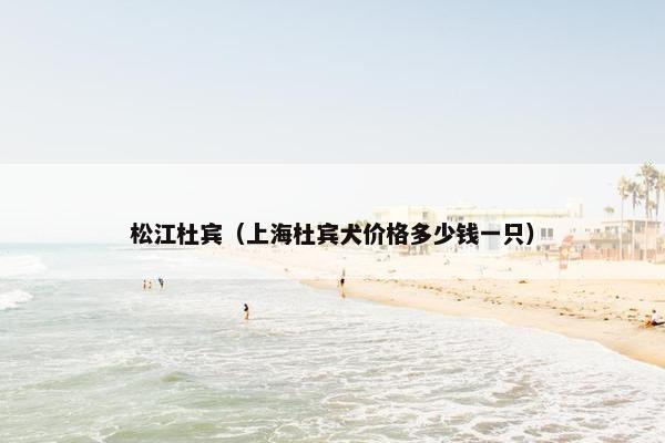 松江杜宾（上海杜宾犬价格多少钱一只）