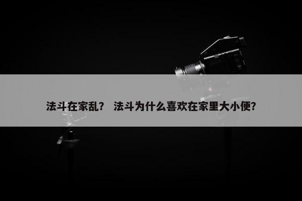 法斗在家乱？ 法斗为什么喜欢在家里大小便？