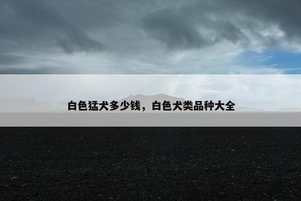 白色猛犬多少钱，白色犬类品种大全