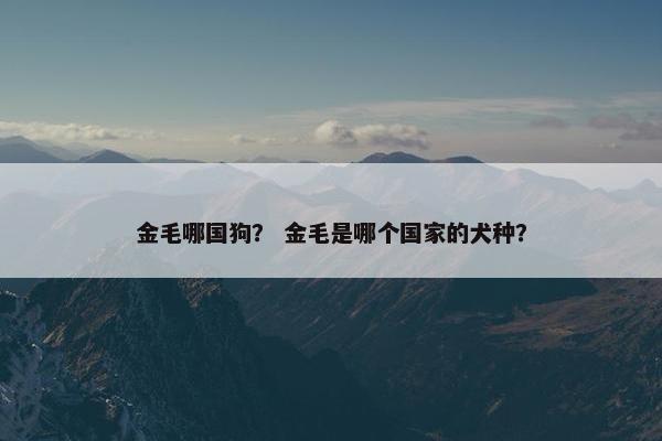 金毛哪国狗? 金毛是哪个国家的犬种? 金毛哪国狗? 金毛是哪个国家的犬种?