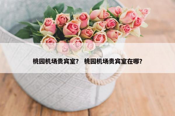 桃园机场贵宾室？ 桃园机场贵宾室在哪？