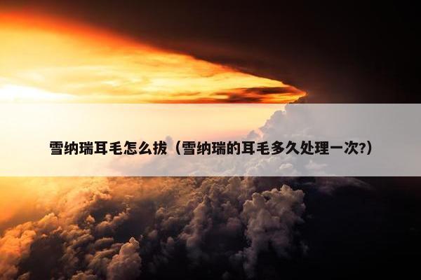雪纳瑞耳毛怎么拔（雪纳瑞的耳毛多久处理一次?）