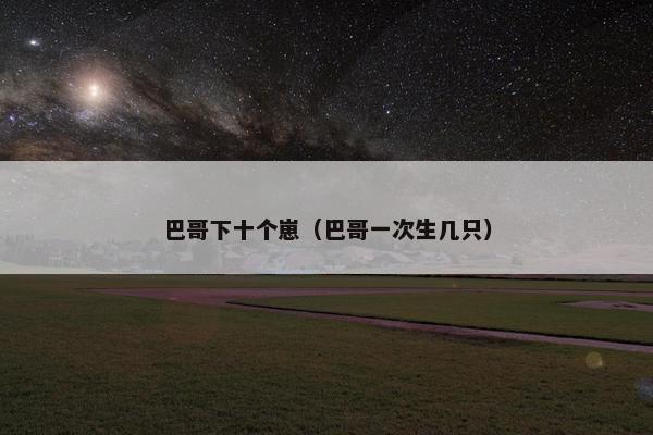 巴哥下十个崽（巴哥一次生几只）